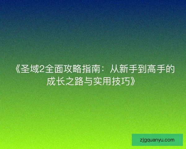 《圣域2全面攻略指南：从新手到高手的成长之路与实用技巧》